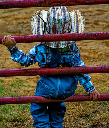 I Want to Be a Cowboy