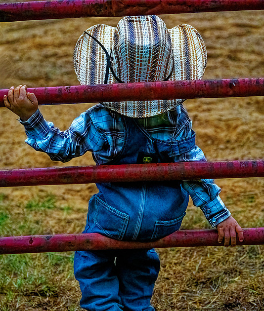 Pickens Sc Rodeo Kenz Lenz Photography | New Pickens Rodeo 2024