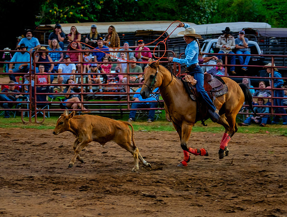 Blue Girl Calf Roping