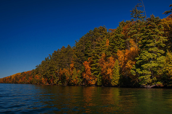 Shoreline of Bass Island