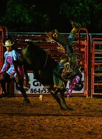 Caydan Exits Steer