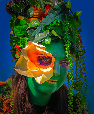 Flower Fairy