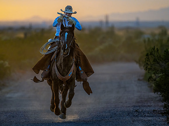 Cowboy with Rifle