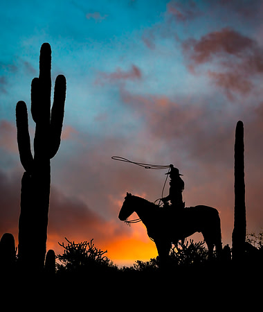 Roping on Horizon Gold Sky