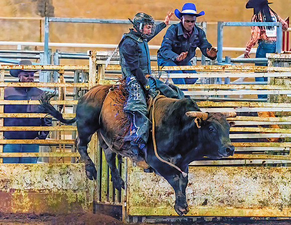 Bull Ride 36