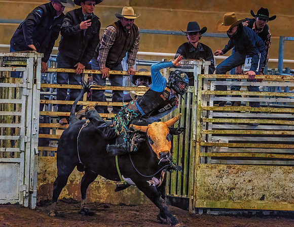 Bull Ride 58