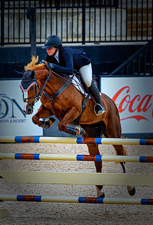 Blonde Mane Jumper