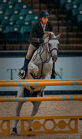 Equestrian White Steed
