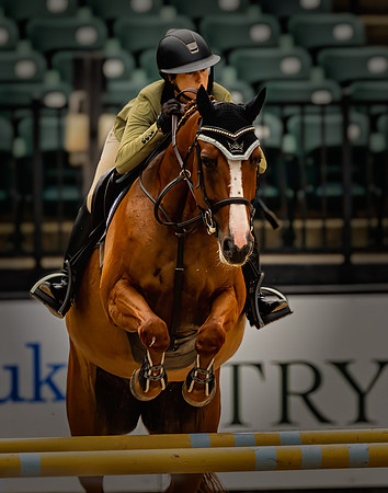 Hooves Above Rail