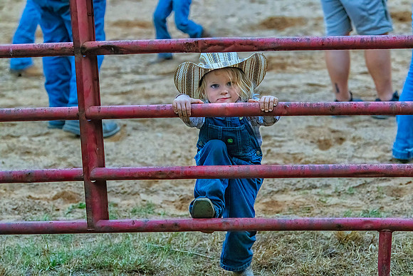 Love the Rodeo