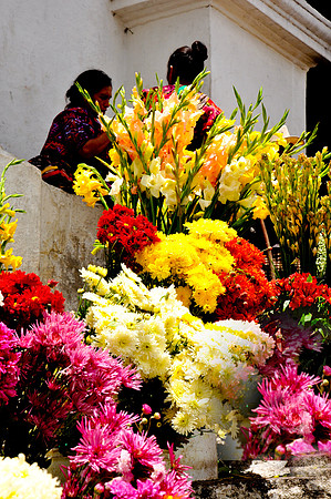 Flowers for Sale in the ChiChi Market