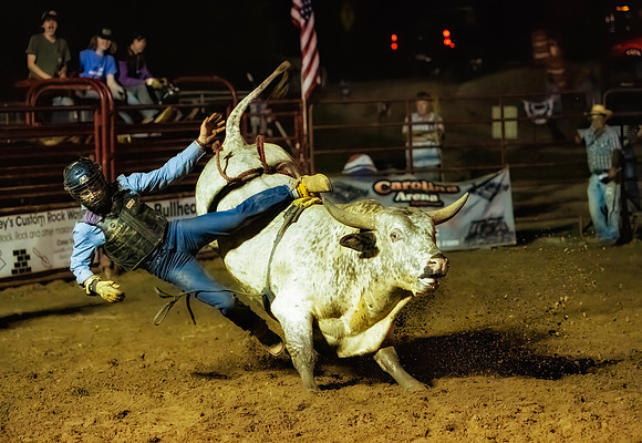 Exit White Bull