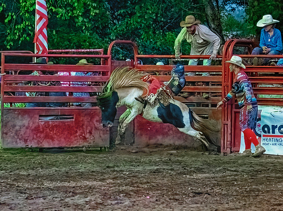 Yellow Maned Pony