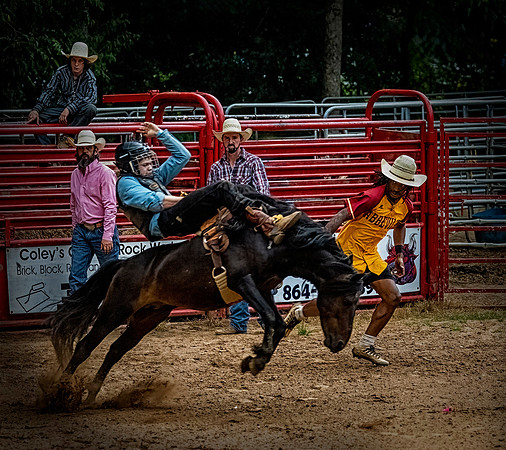 Blue Shirt Pony Rider