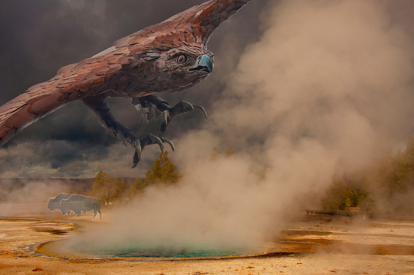 Iron Bird over Celestine  Pool