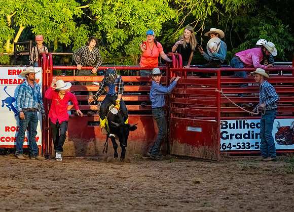 Steer Rider Yellow Boots