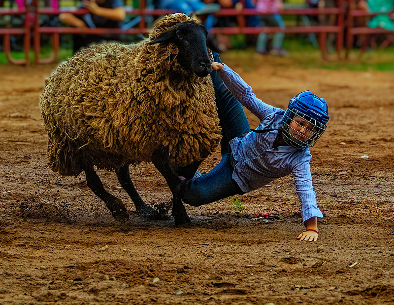 Pickens Sc Rodeo Kenz Lenz Photography | New Pickens Rodeo 2024