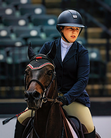 Horse and Rider