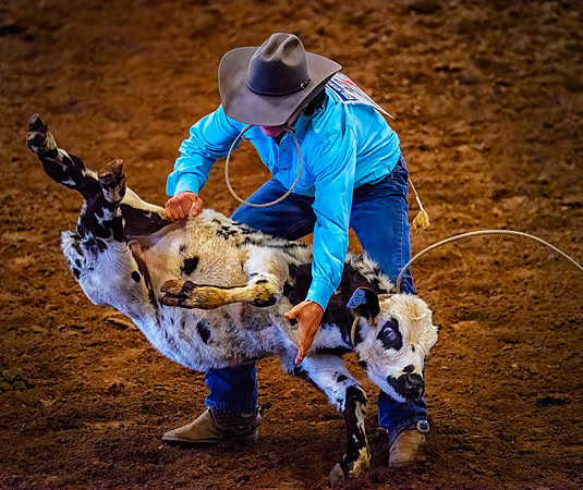 Calf Roping