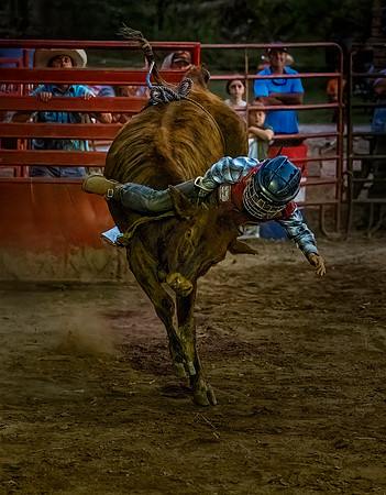 Plaid Shirt Steer Rider