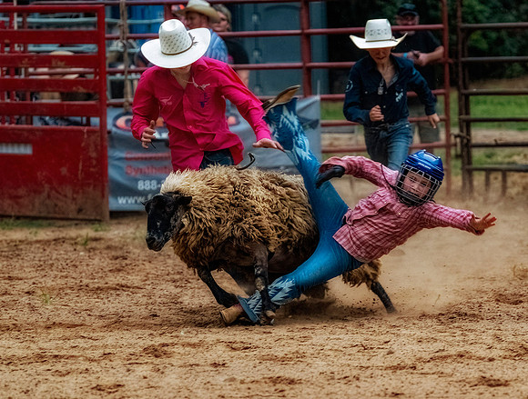 Mutton Buster Blue and Red