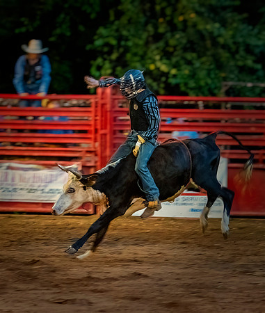 PickensSteer Rider Blue